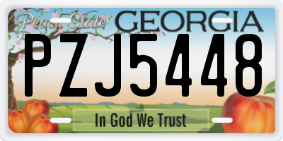 GA license plate PZJ5448