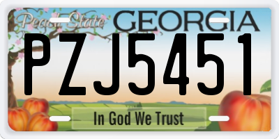 GA license plate PZJ5451