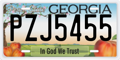 GA license plate PZJ5455
