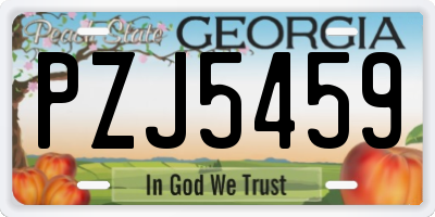 GA license plate PZJ5459