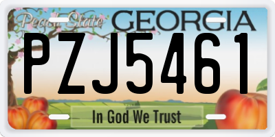 GA license plate PZJ5461