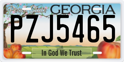 GA license plate PZJ5465
