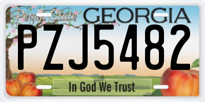 GA license plate PZJ5482