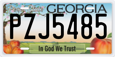 GA license plate PZJ5485