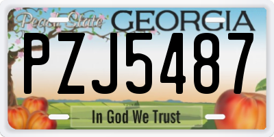 GA license plate PZJ5487