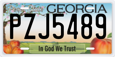 GA license plate PZJ5489