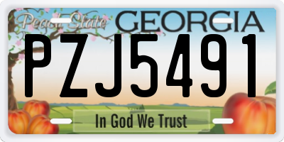 GA license plate PZJ5491