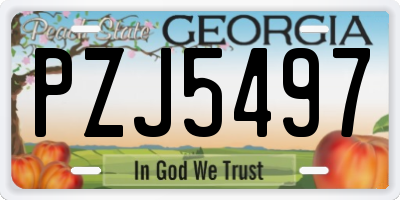 GA license plate PZJ5497