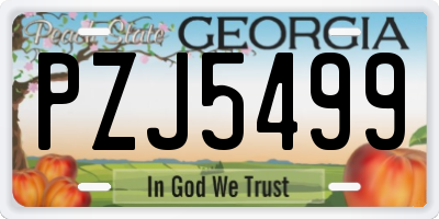 GA license plate PZJ5499