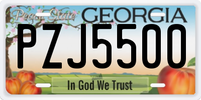 GA license plate PZJ5500