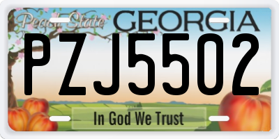 GA license plate PZJ5502