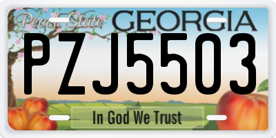 GA license plate PZJ5503