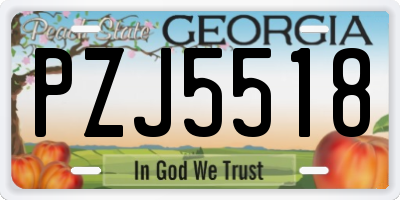 GA license plate PZJ5518