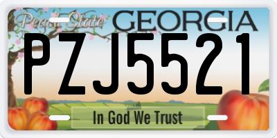 GA license plate PZJ5521