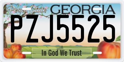 GA license plate PZJ5525