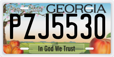 GA license plate PZJ5530