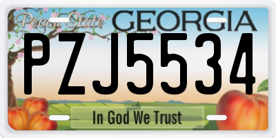 GA license plate PZJ5534