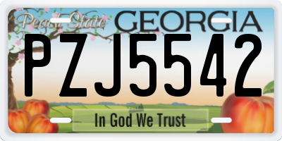 GA license plate PZJ5542