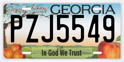 GA license plate PZJ5549