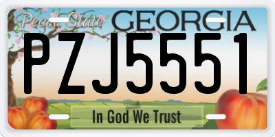 GA license plate PZJ5551