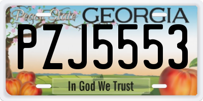 GA license plate PZJ5553