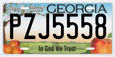 GA license plate PZJ5558