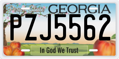 GA license plate PZJ5562