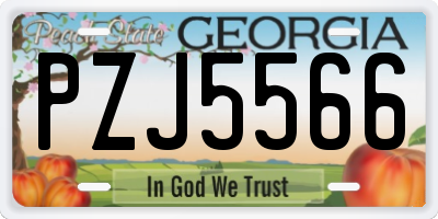GA license plate PZJ5566