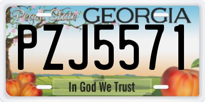 GA license plate PZJ5571