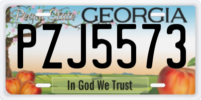 GA license plate PZJ5573
