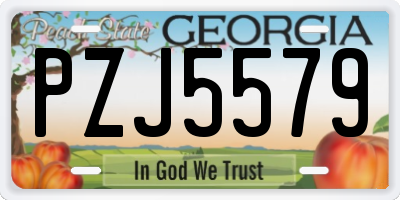 GA license plate PZJ5579