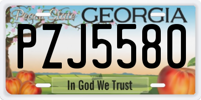 GA license plate PZJ5580