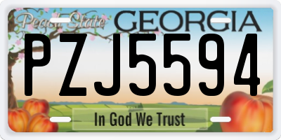 GA license plate PZJ5594