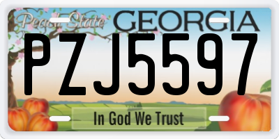 GA license plate PZJ5597