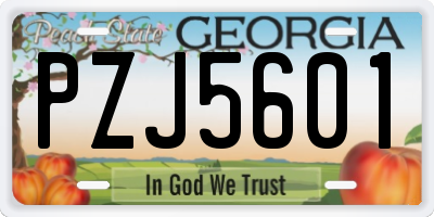 GA license plate PZJ5601