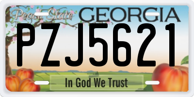GA license plate PZJ5621