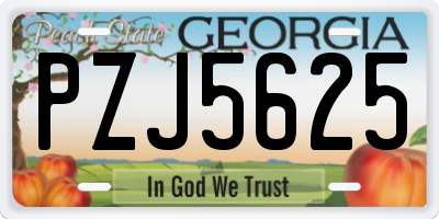 GA license plate PZJ5625