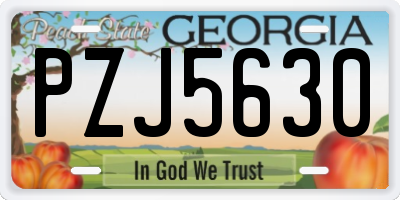 GA license plate PZJ5630