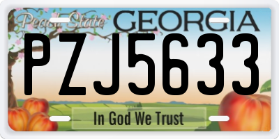 GA license plate PZJ5633