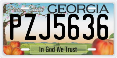GA license plate PZJ5636