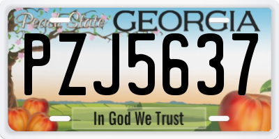 GA license plate PZJ5637