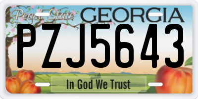 GA license plate PZJ5643