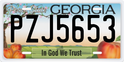 GA license plate PZJ5653