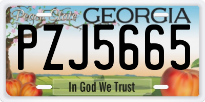 GA license plate PZJ5665
