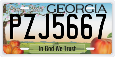 GA license plate PZJ5667