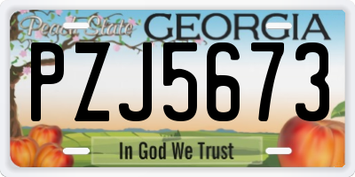 GA license plate PZJ5673
