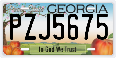 GA license plate PZJ5675