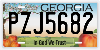 GA license plate PZJ5682