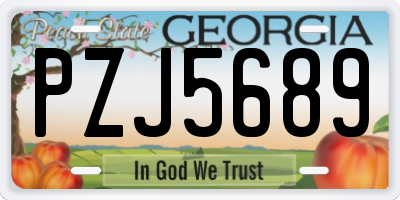 GA license plate PZJ5689
