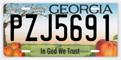 GA license plate PZJ5691